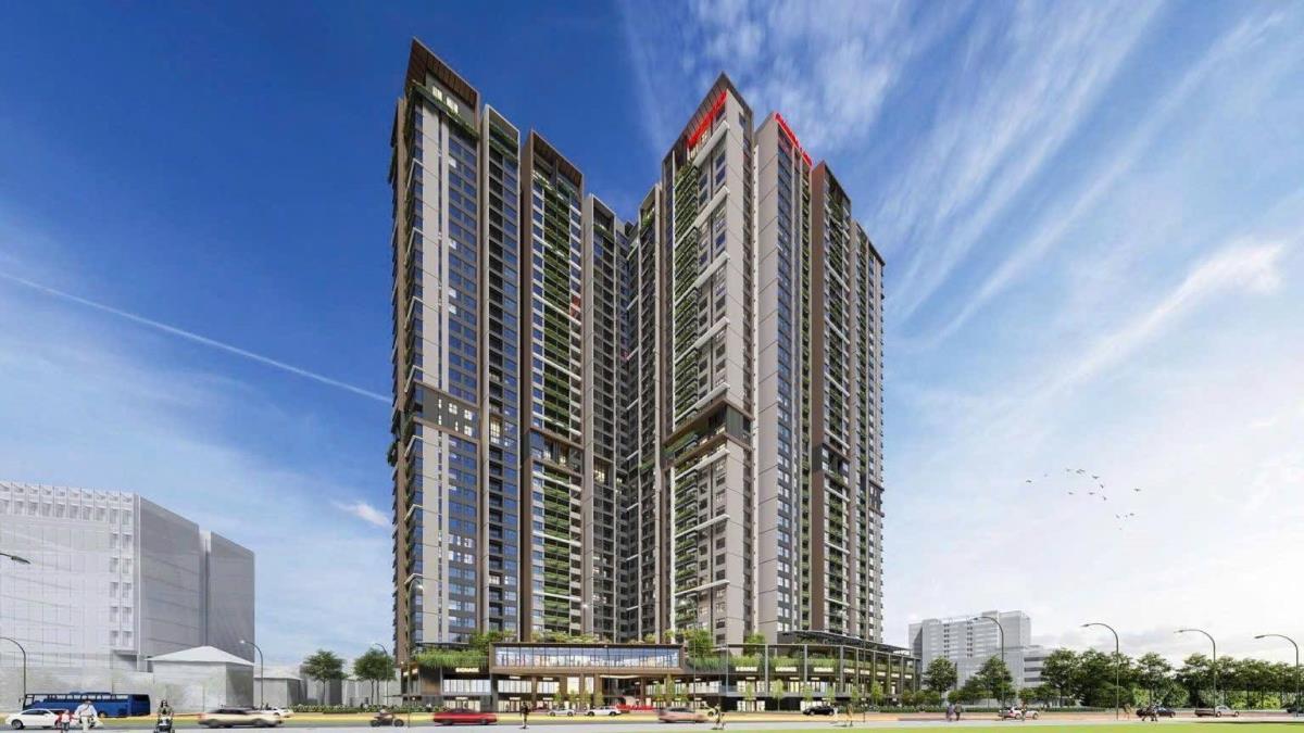 Tổng quan dự án